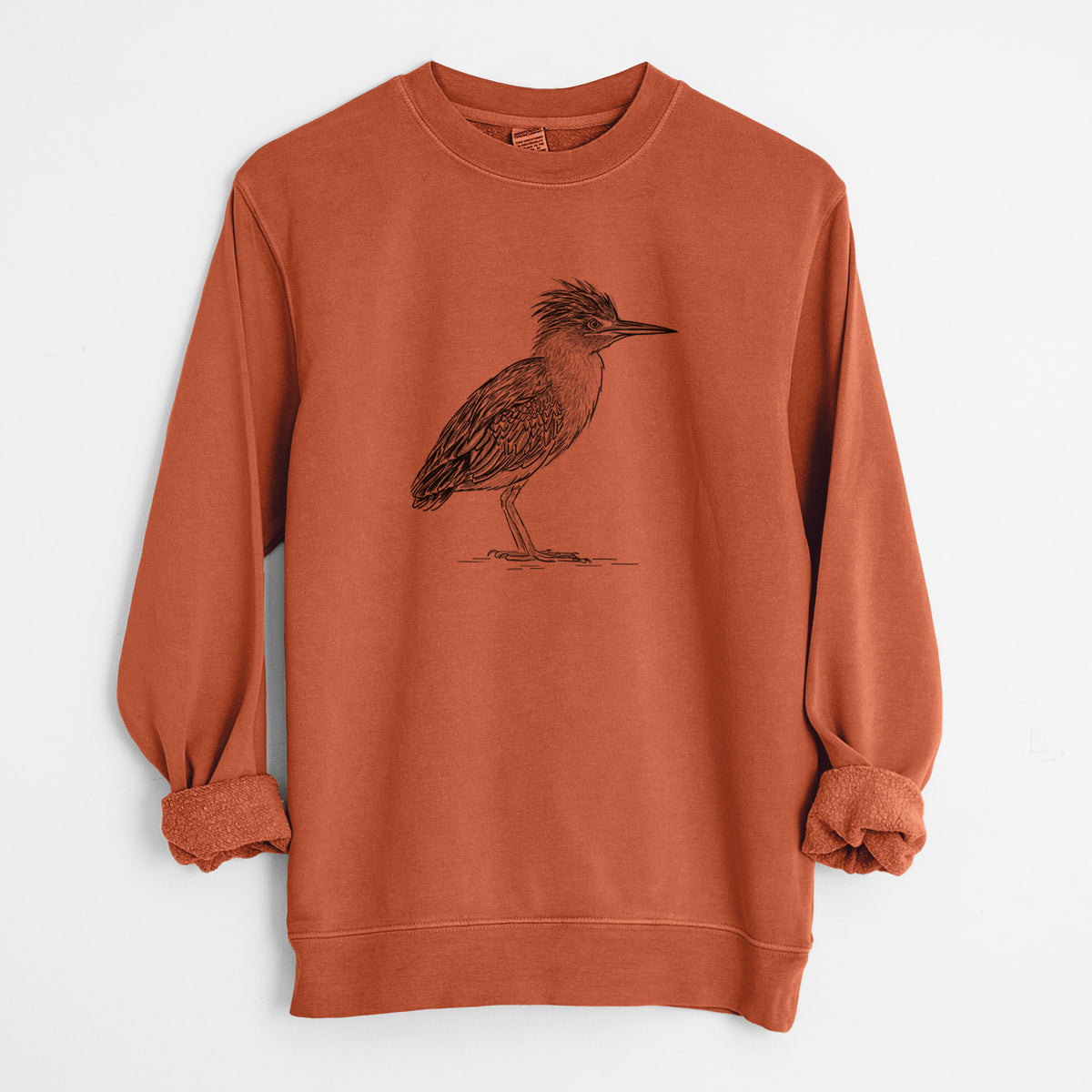 Green Heron - Butorides virescens - Unisex Pigment Dyed Crew Sweatshirt
