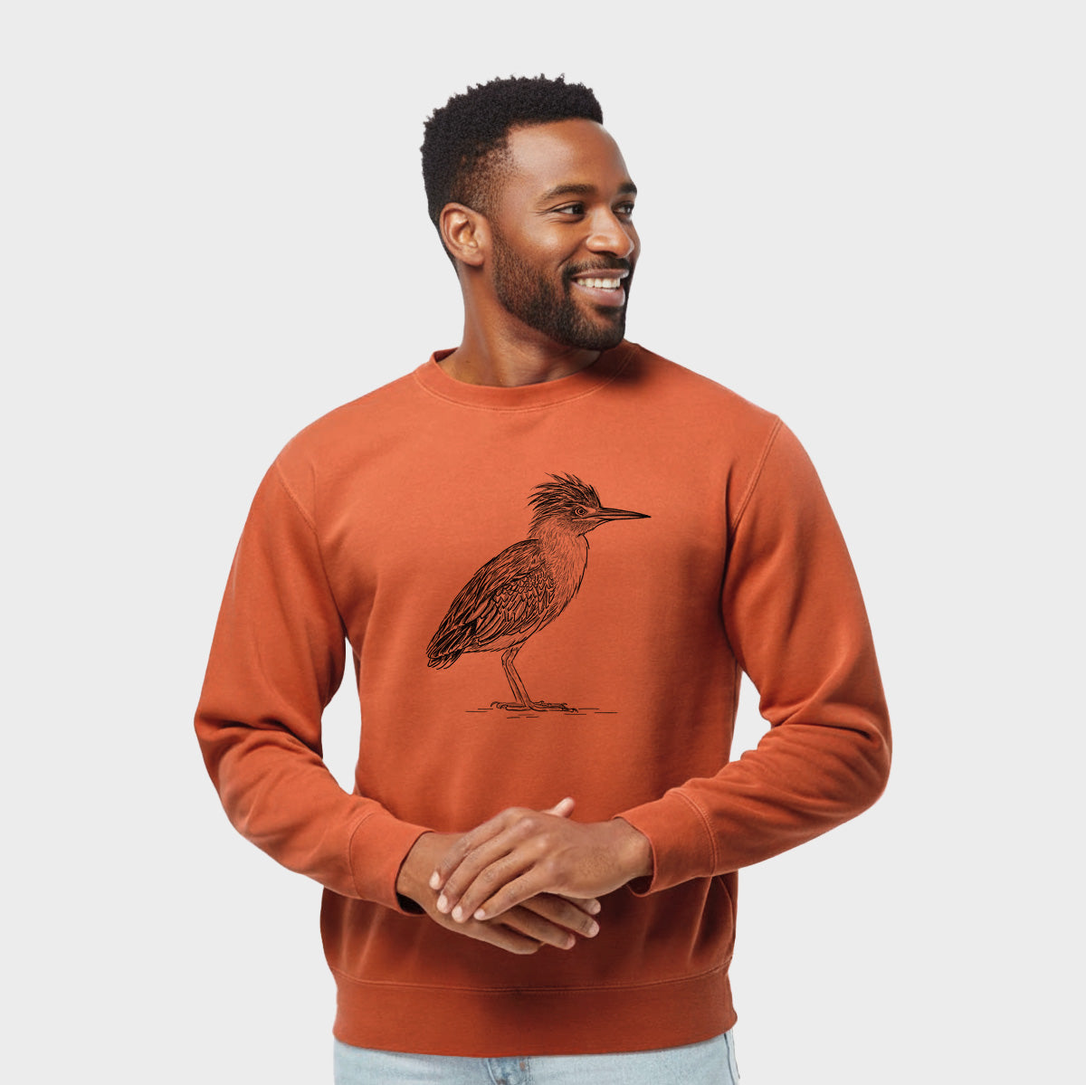 Green Heron - Butorides virescens - Unisex Pigment Dyed Crew Sweatshirt