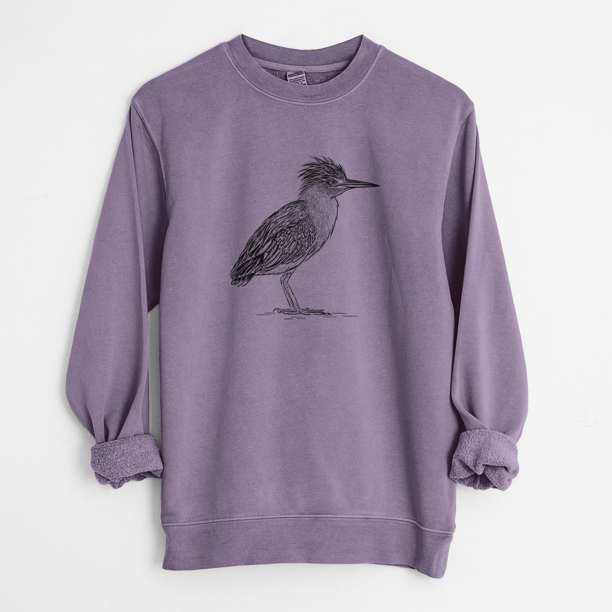 Green Heron - Butorides virescens - Unisex Pigment Dyed Crew Sweatshirt