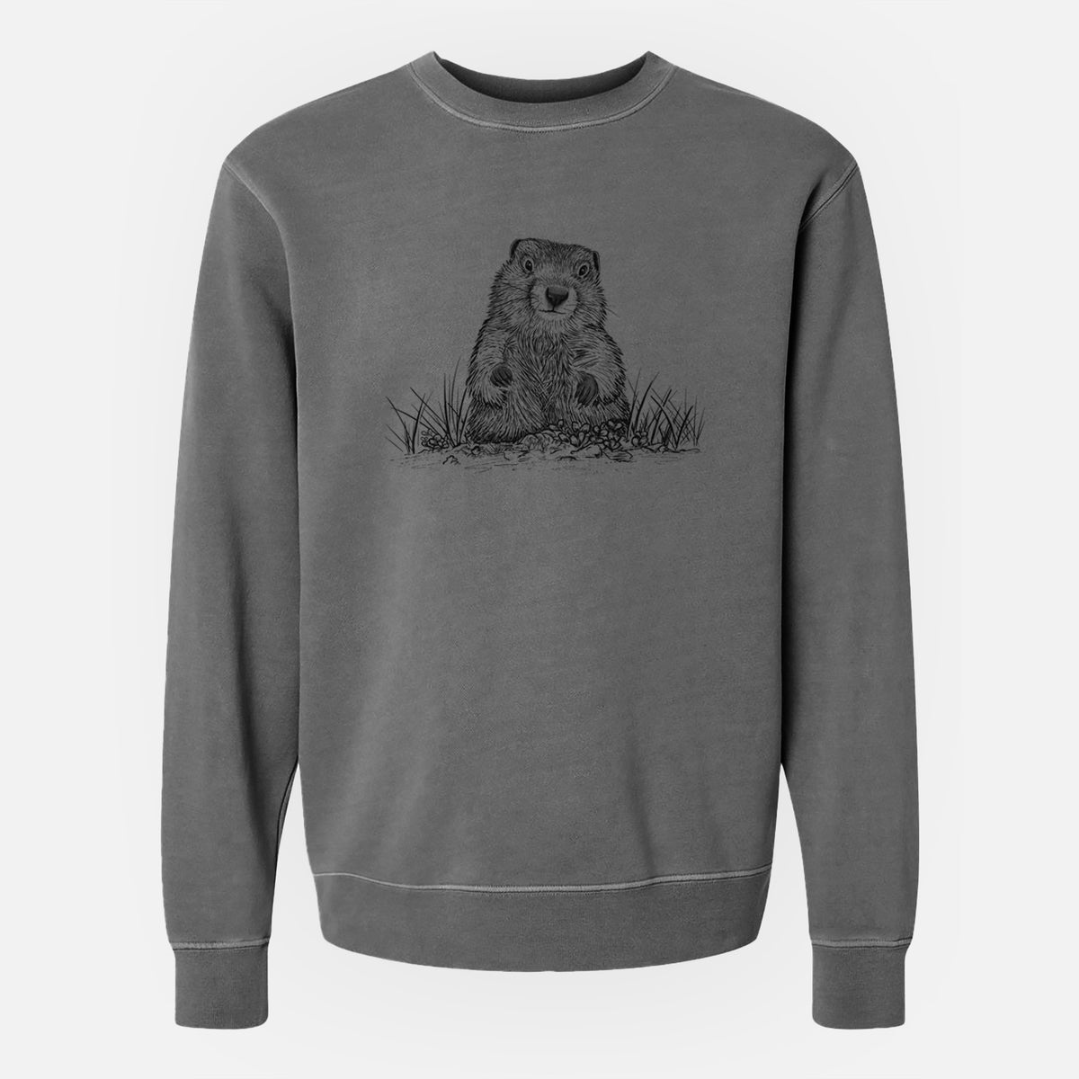 Groundhog - Marmota Monax - Unisex Pigment Dyed Crew Sweatshirt