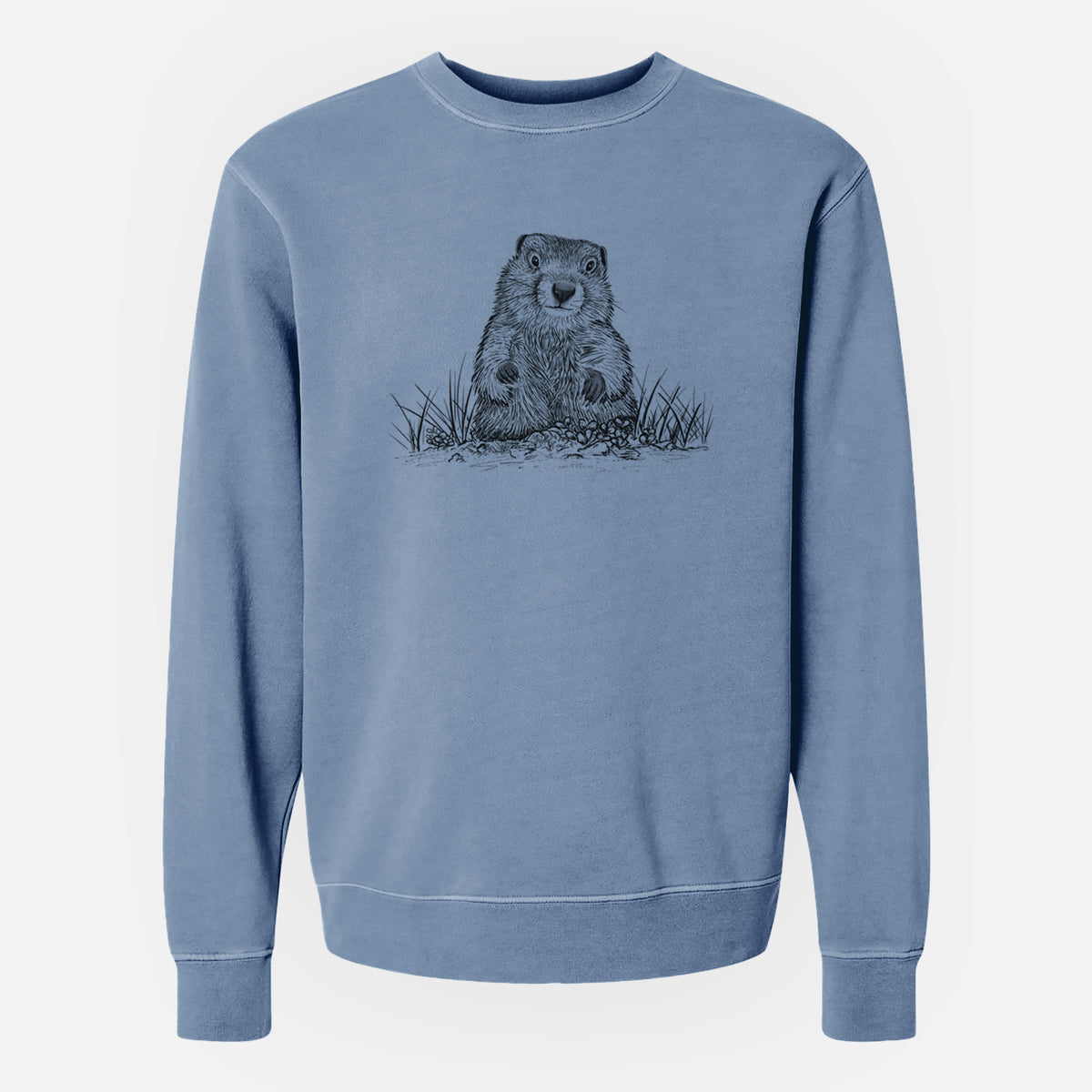 Groundhog - Marmota Monax - Unisex Pigment Dyed Crew Sweatshirt