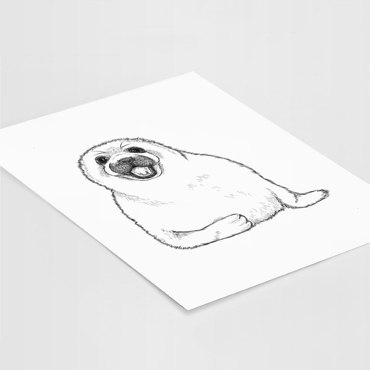 Harp Seal Pup - Pagophilus groenlandicus - Fine Art Print