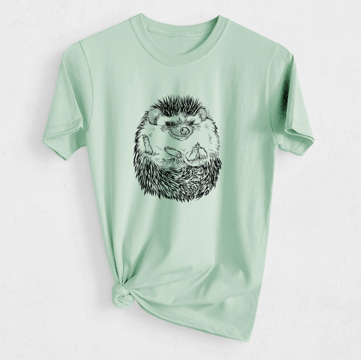 African Pygmy Hedgehog - Atelerix albiventris - Heavyweight Men&#39;s 100% Organic Cotton Tee