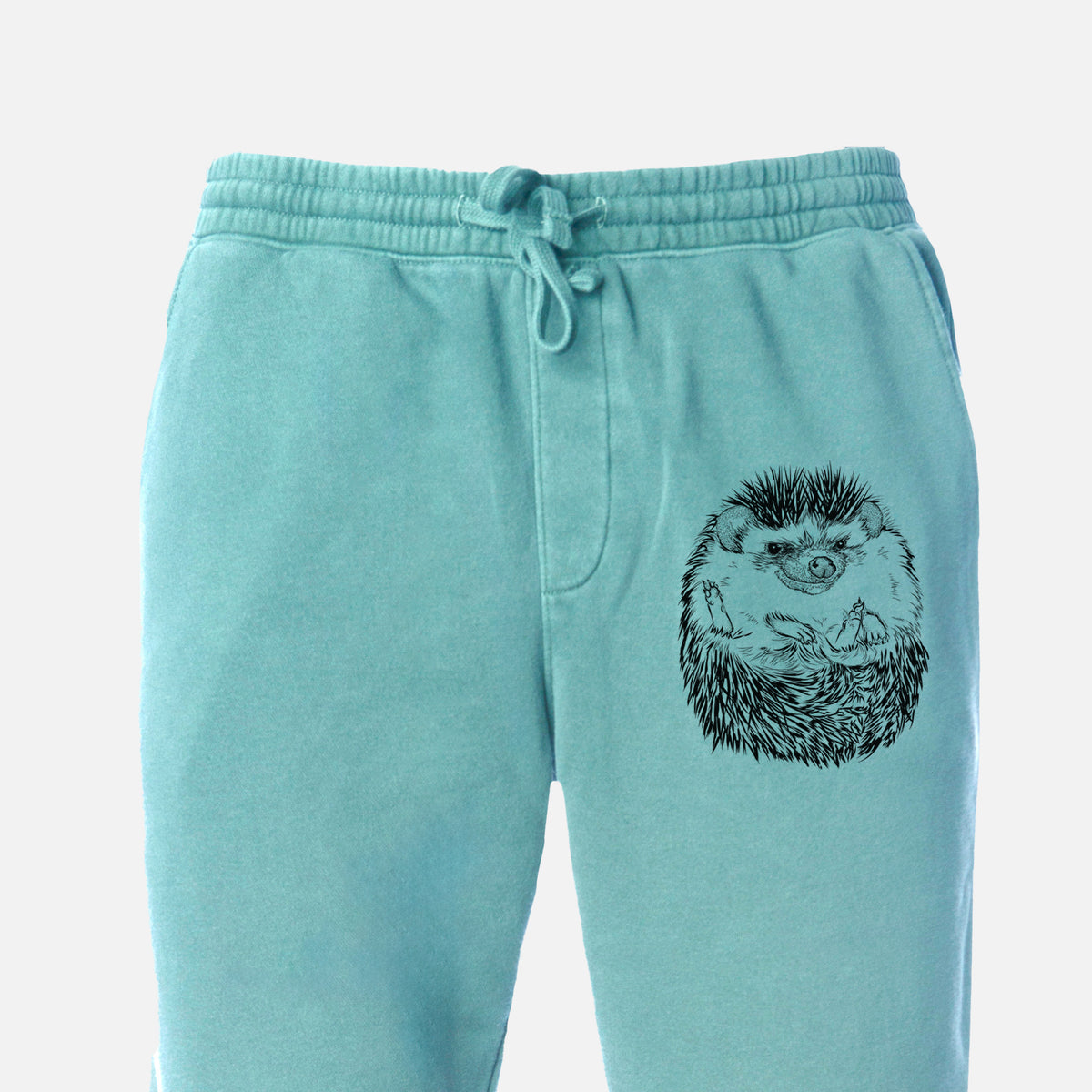 African Pygmy Hedgehog - Atelerix albiventris - Unisex Pigment Dyed Sweatpants