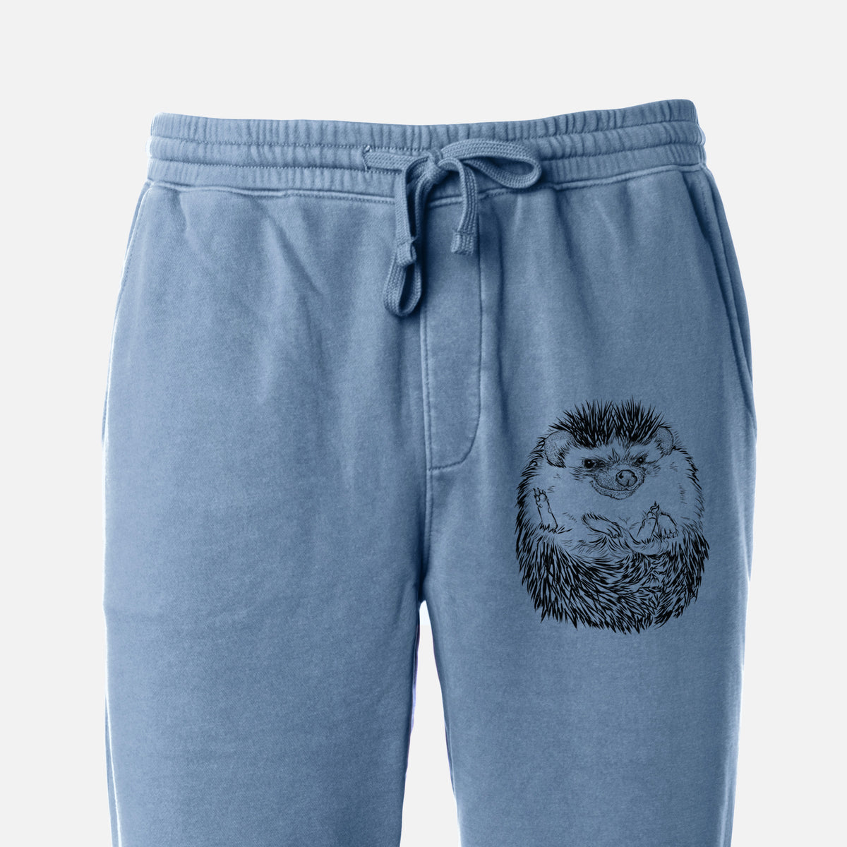 African Pygmy Hedgehog - Atelerix albiventris - Unisex Pigment Dyed Sweatpants