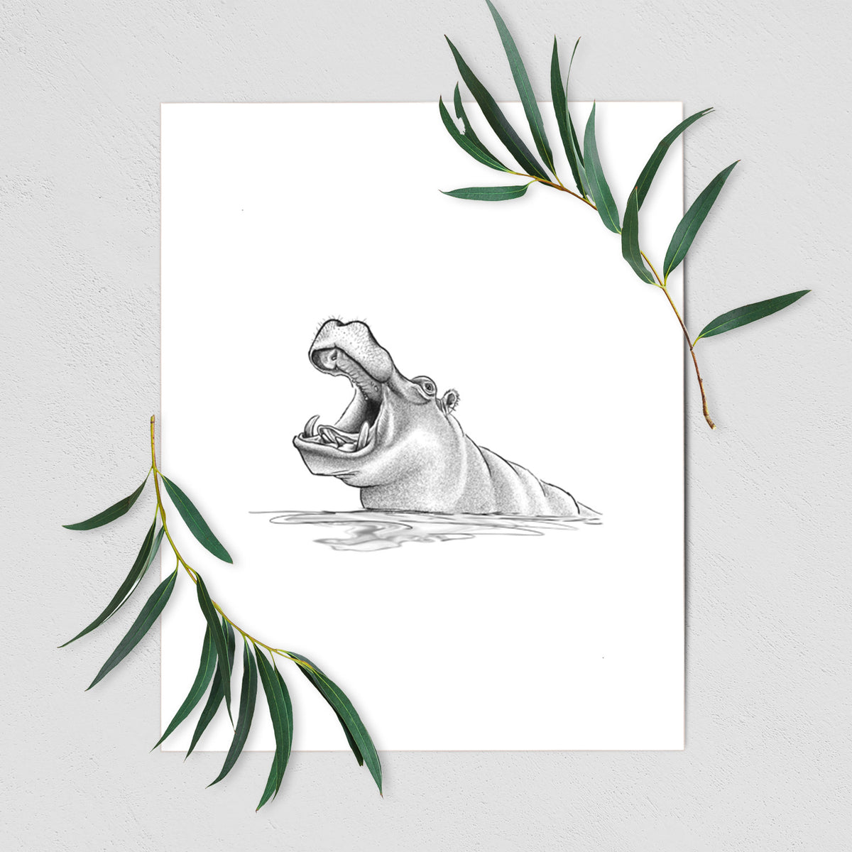 Hippo - Hippopotamus amphibius - Fine Art Print