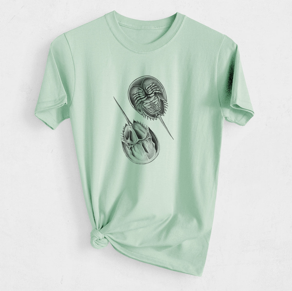 Atlantic Horseshoe Crab - Limulidae polyphemus - Heavyweight Men&#39;s 100% Organic Cotton Tee