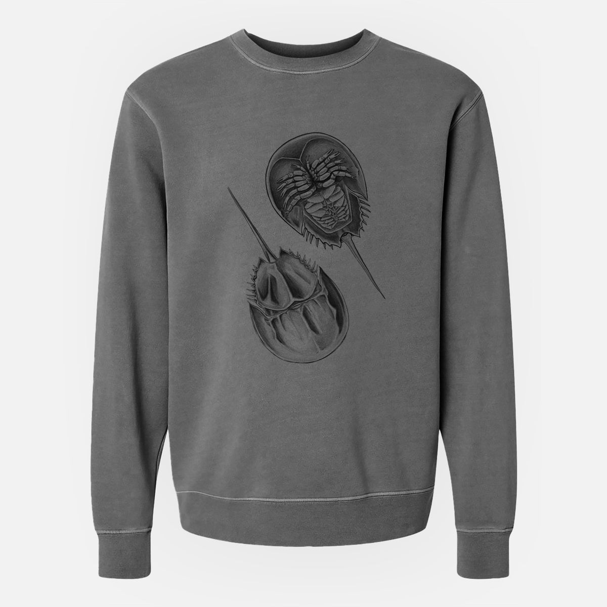 Atlantic Horseshoe Crab - Limulidae polyphemus - Unisex Pigment Dyed Crew Sweatshirt