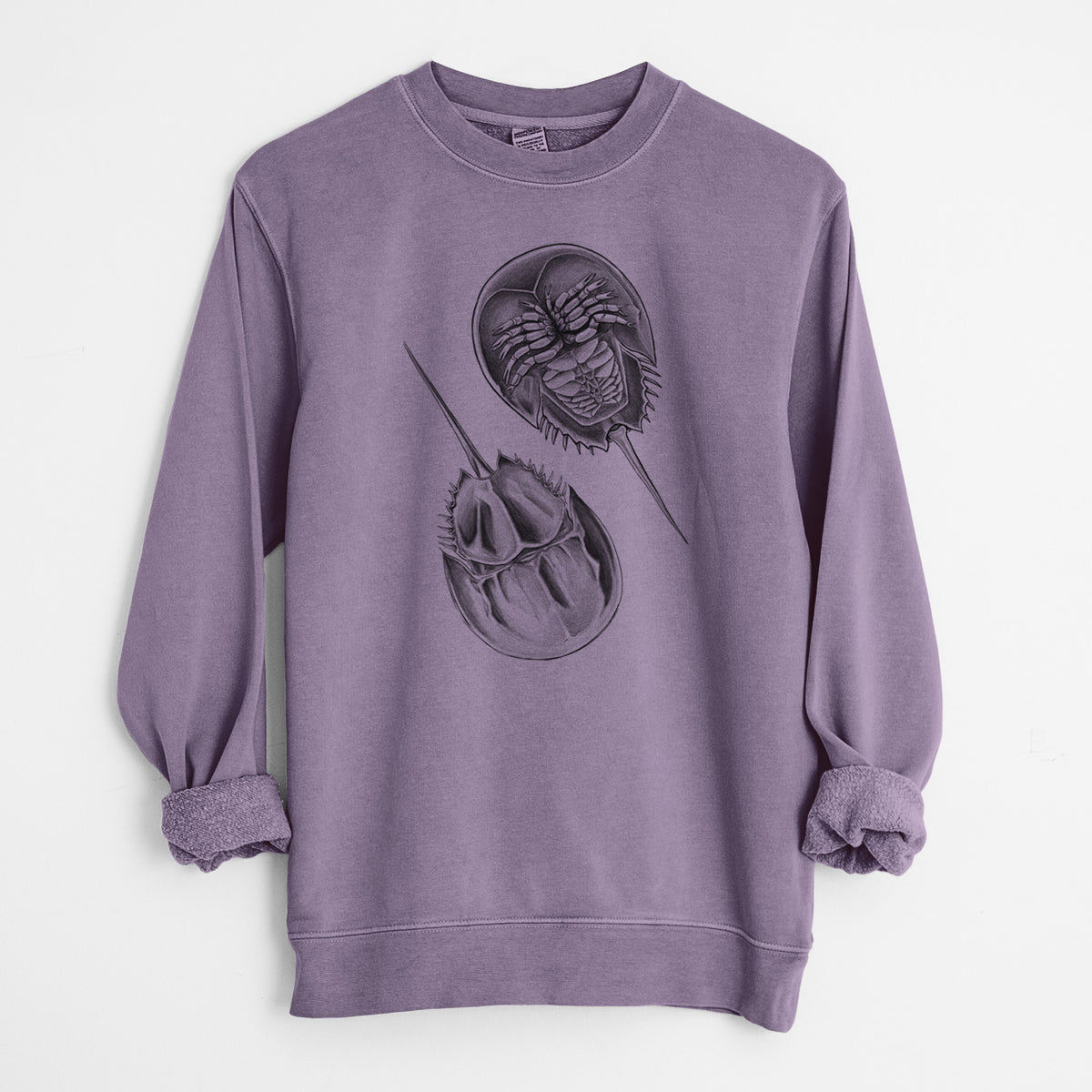 Atlantic Horseshoe Crab - Limulidae polyphemus - Unisex Pigment Dyed Crew Sweatshirt