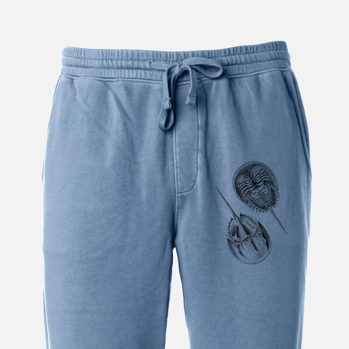 Atlantic Horseshoe Crab - Limulus polyphemus - Unisex Pigment Dyed Sweatpants