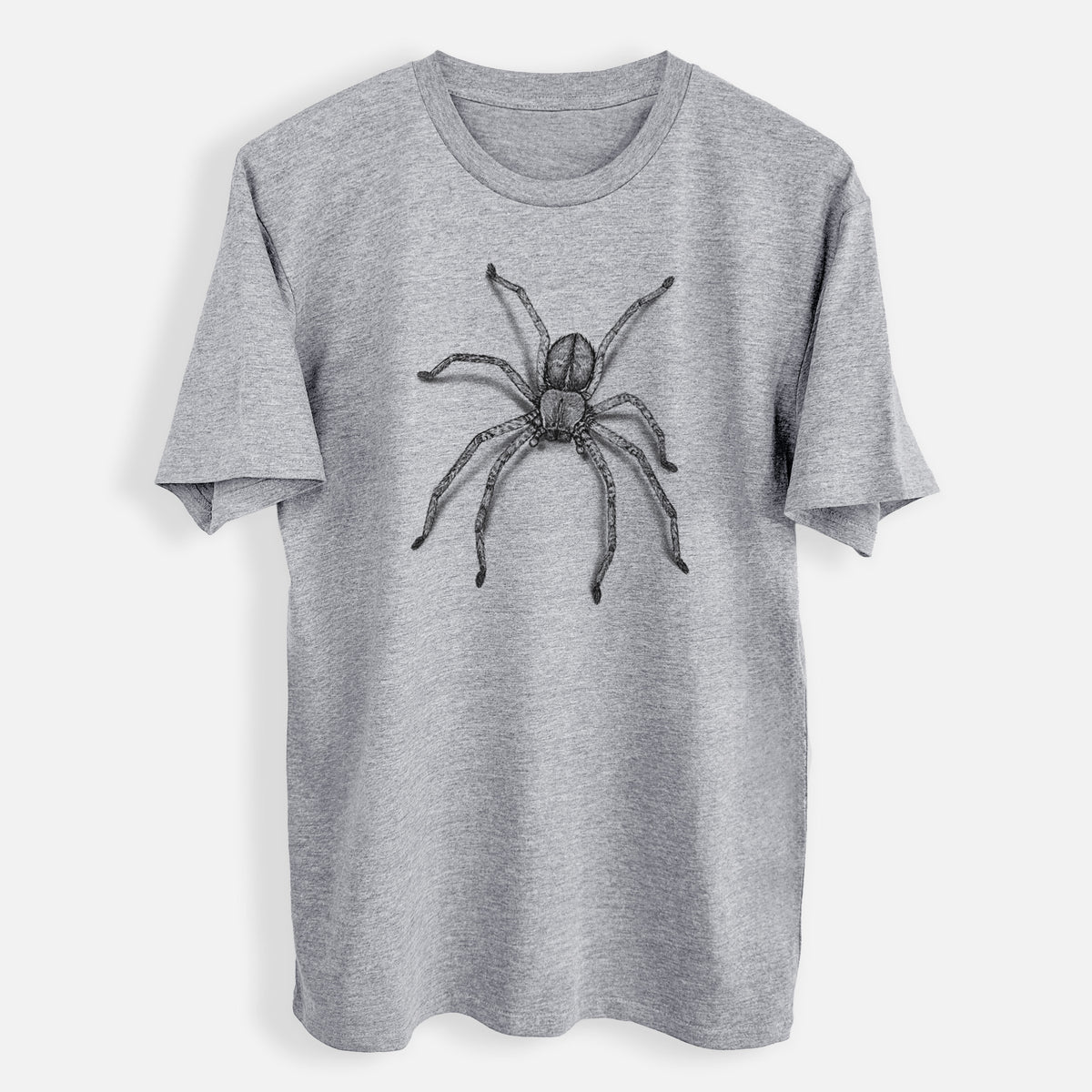 Huntsman Spider - Olios giganteus - Mens Everyday Staple Tee