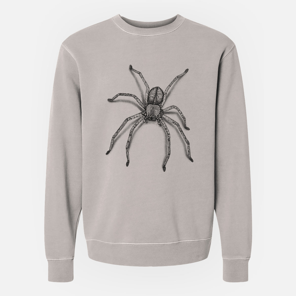 Huntsman Spider - Olios giganteus - Unisex Pigment Dyed Crew Sweatshirt