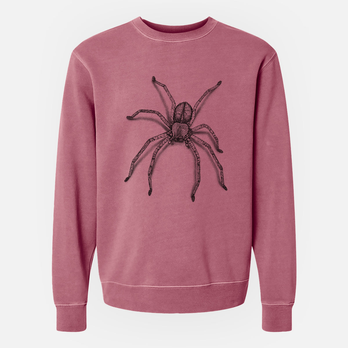 Huntsman Spider - Olios giganteus - Unisex Pigment Dyed Crew Sweatshirt