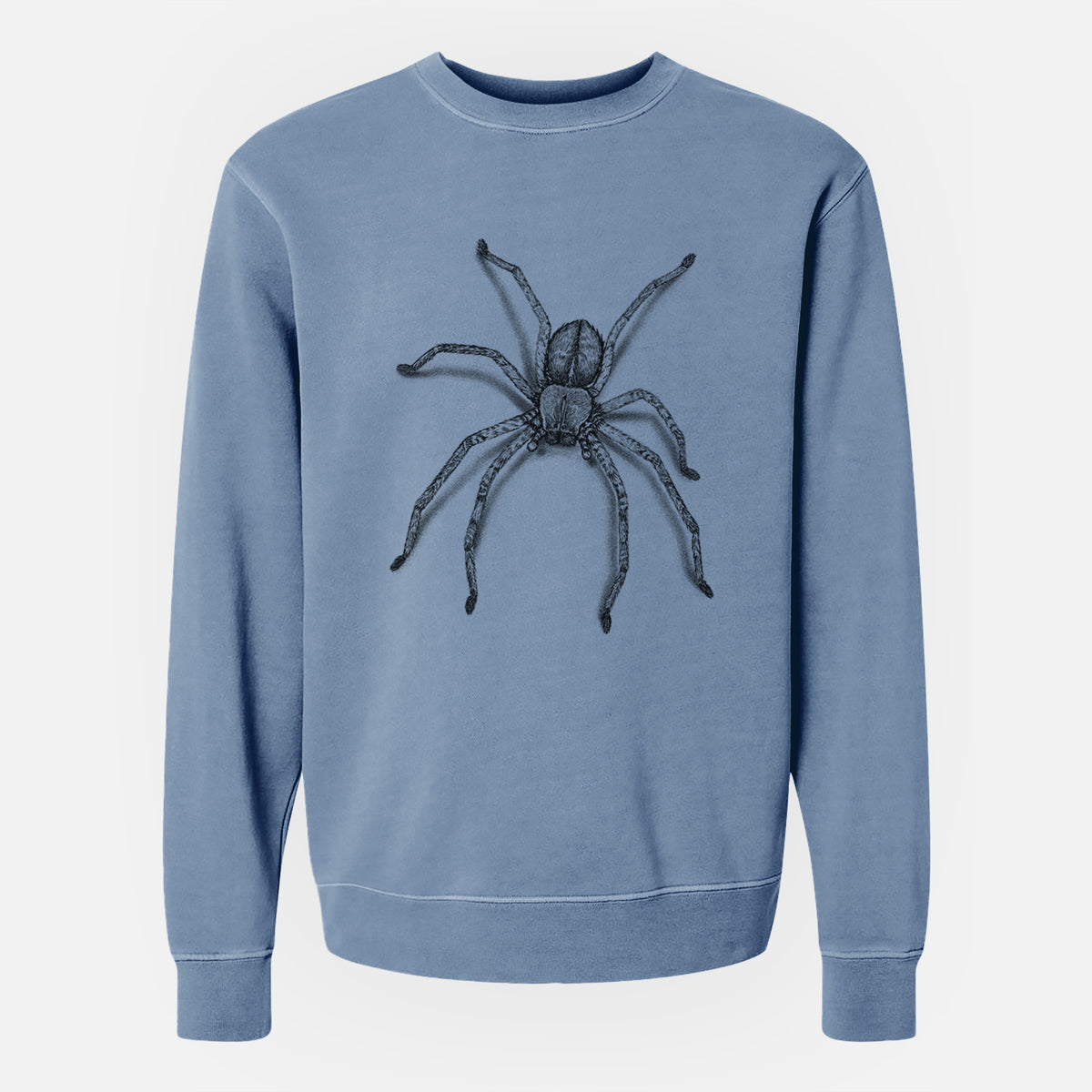 Huntsman Spider - Olios giganteus - Unisex Pigment Dyed Crew Sweatshirt