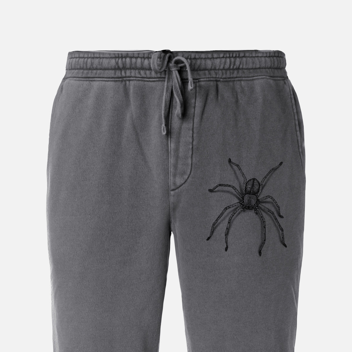 Huntsman Spider - Olios giganteus - Unisex Pigment Dyed Sweatpants