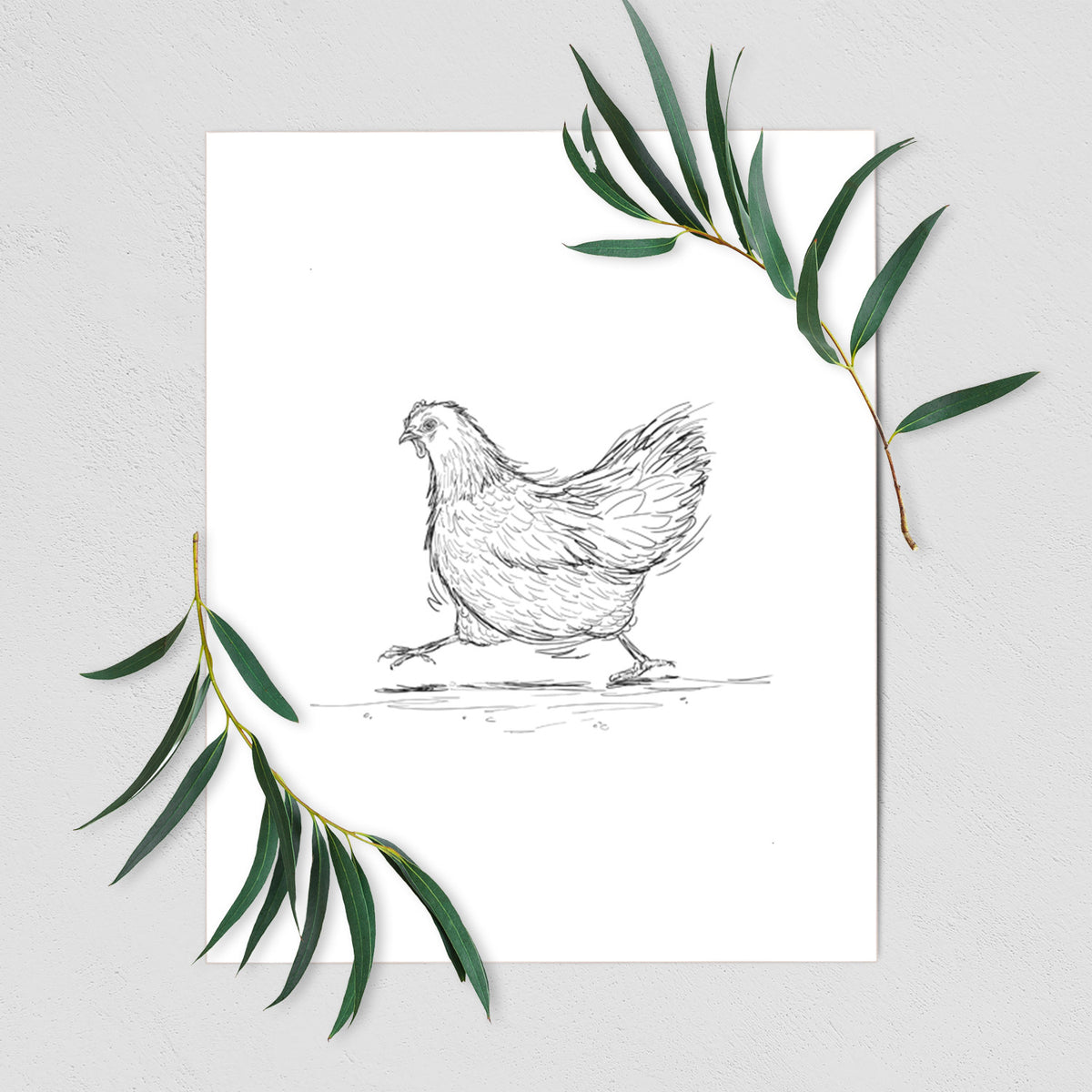 Hurried Hen - Orpington Chicken - Fine Art Print