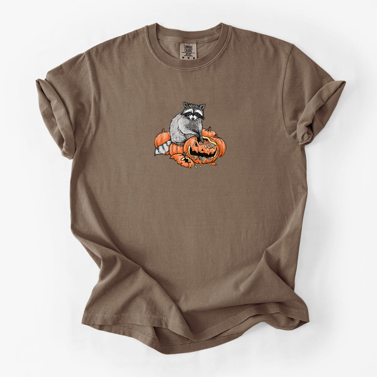 The Raccoon and the Jack-o'-Lantern - Unisex Comfort Colors Garment-Dyed Heavyweight T-shirt