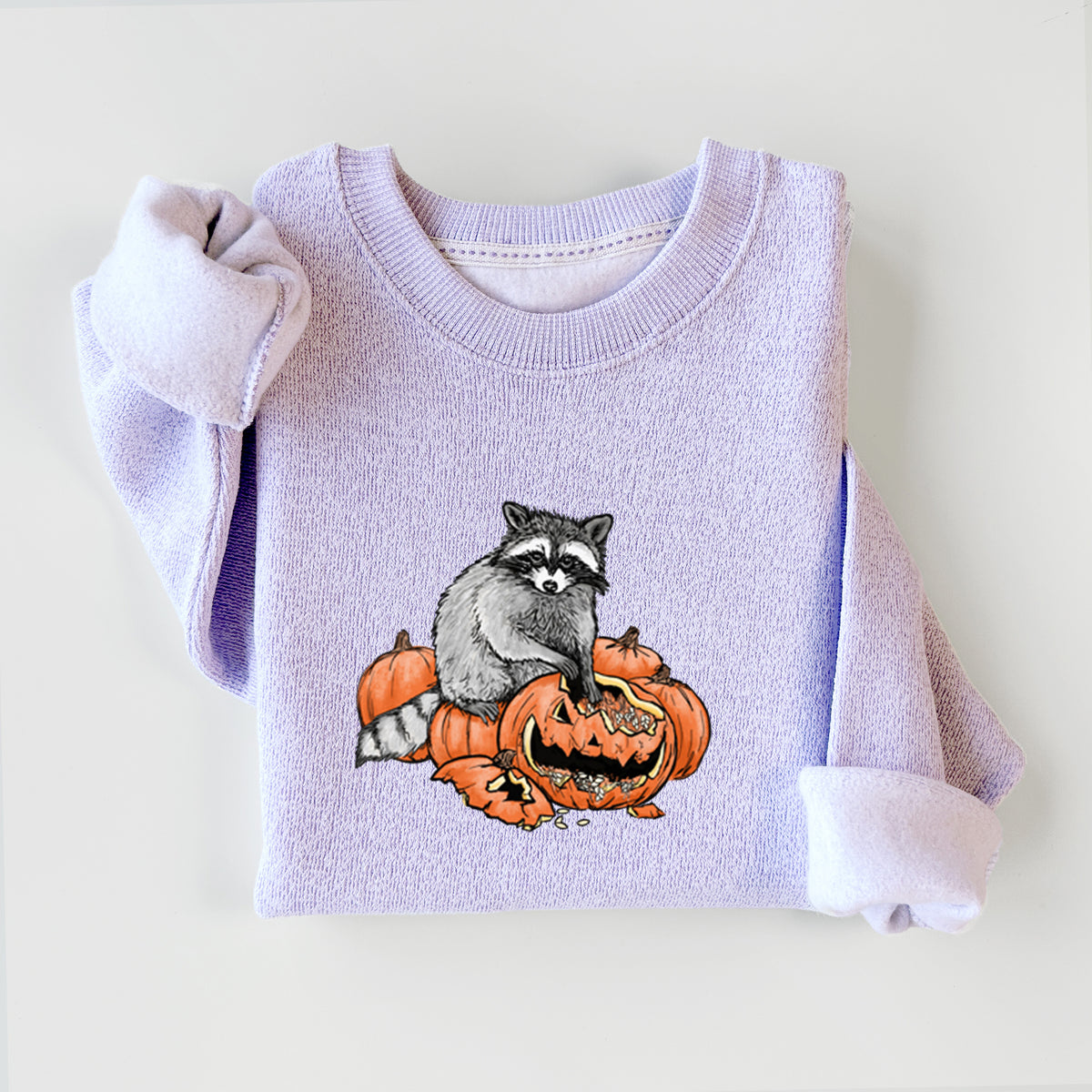 The Raccoon and the Jack-o'-Lantern - Knit Sweatshirt