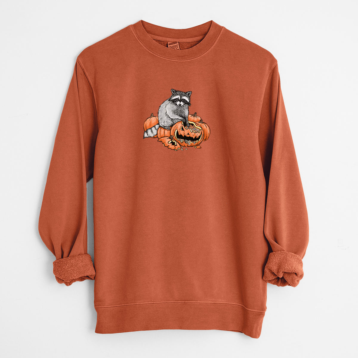 The Raccoon and the Jack-o'-Lantern - Unisex Pigment Dyed Crew Sweatshirt