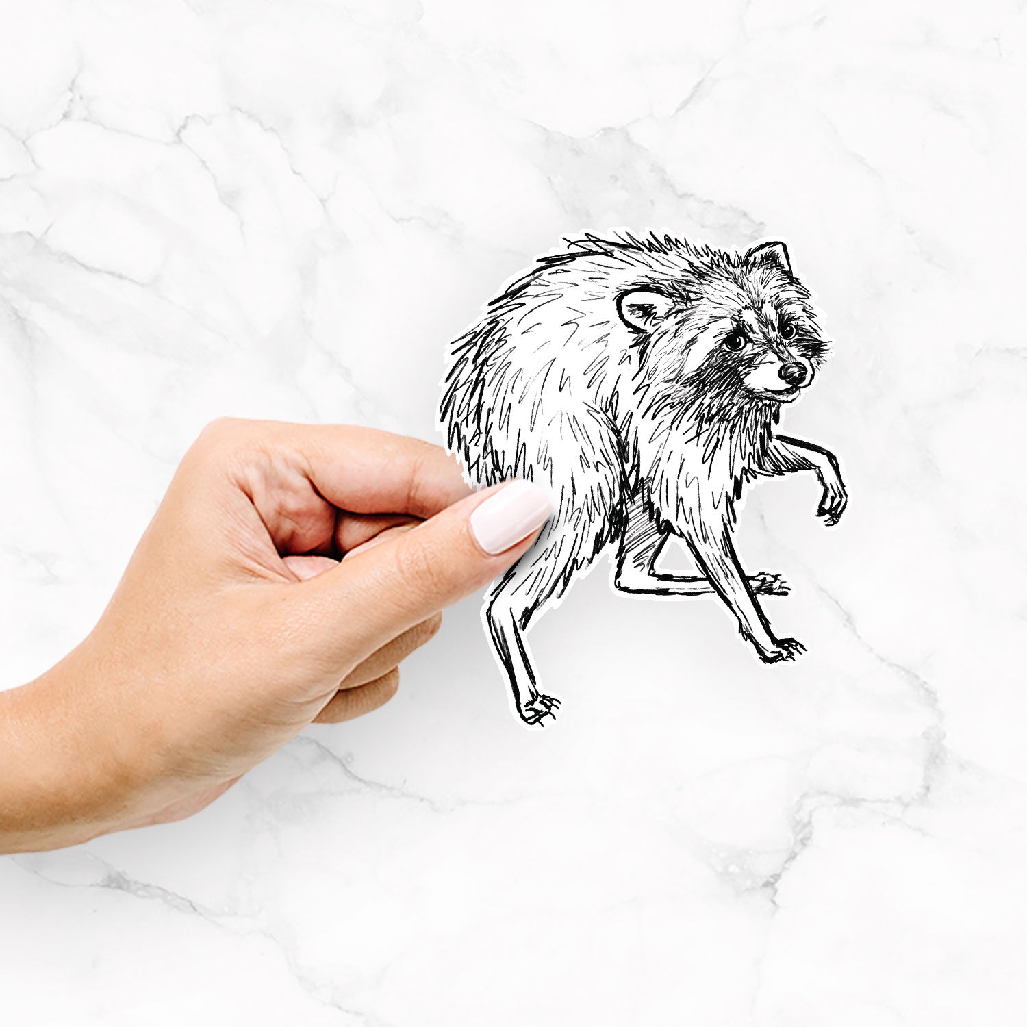 A hand with light pink nail polish holds a die-cut sticker of a black ink sketch of jimothy the raccoon against a white marble background.
