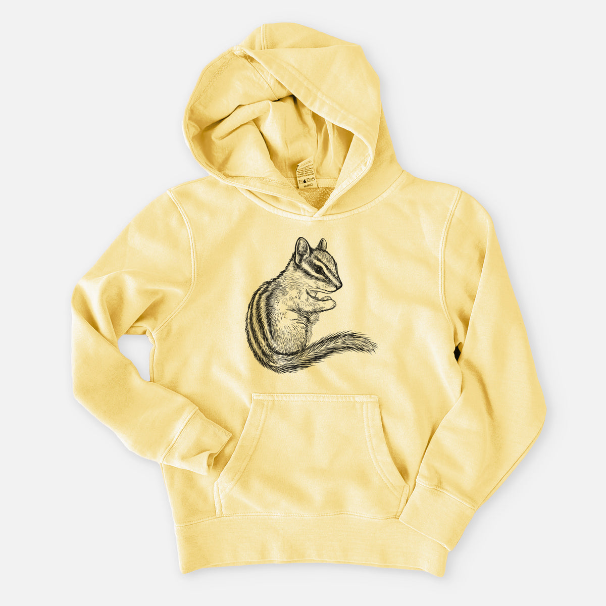 Chipmunk - Neotamias minimus - Youth Pigment Dyed Hoodie