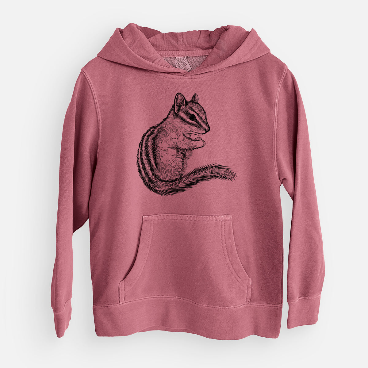 Chipmunk - Neotamias minimus - Youth Pigment Dyed Hoodie