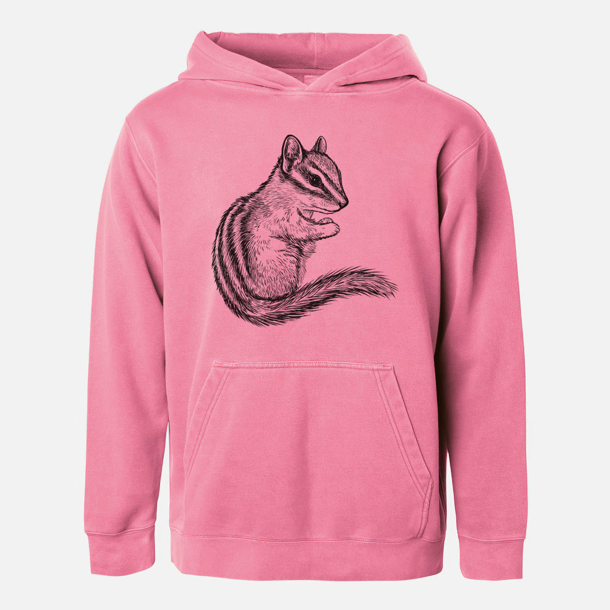 Chipmunk - Neotamias minimus - Youth Pigment Dyed Hoodie