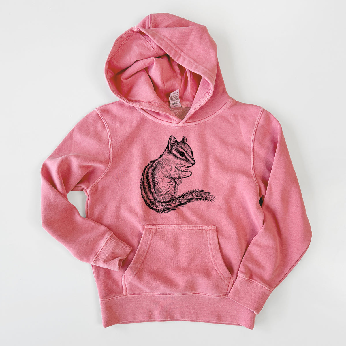 Chipmunk - Neotamias minimus - Youth Pigment Dyed Hoodie