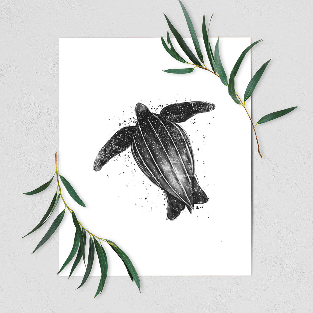 Leatherback - Dermochelys coriacea - Fine Art Print