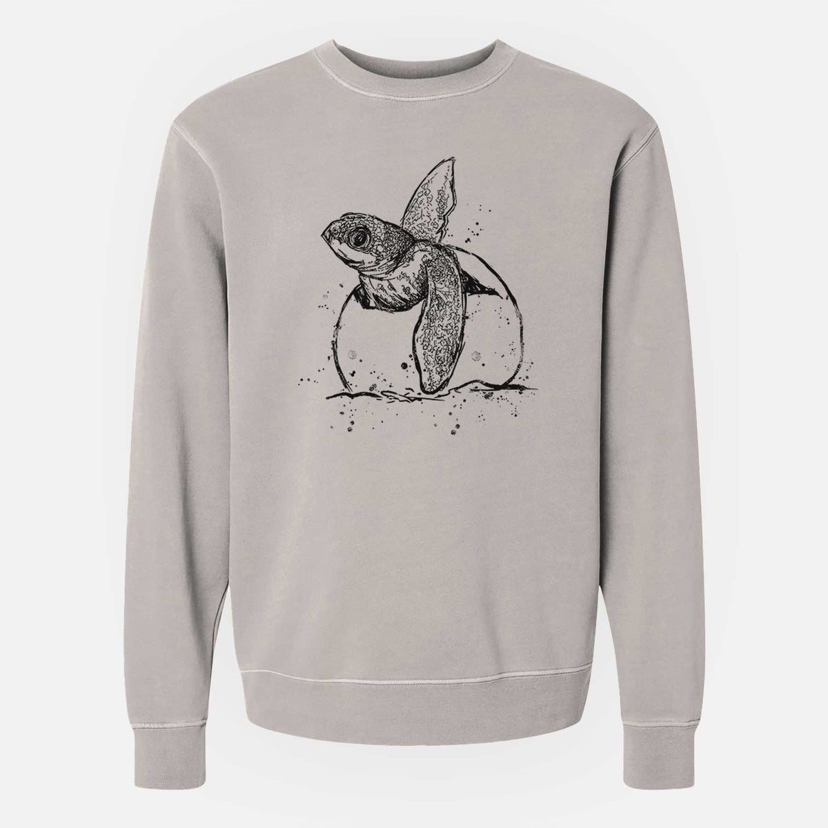 Leatherback Turtle Hatching - Unisex Pigment Dyed Crew Sweatshirt