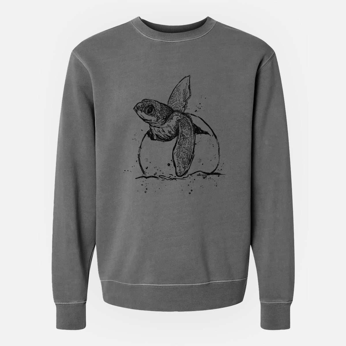 Leatherback Turtle Hatching - Unisex Pigment Dyed Crew Sweatshirt