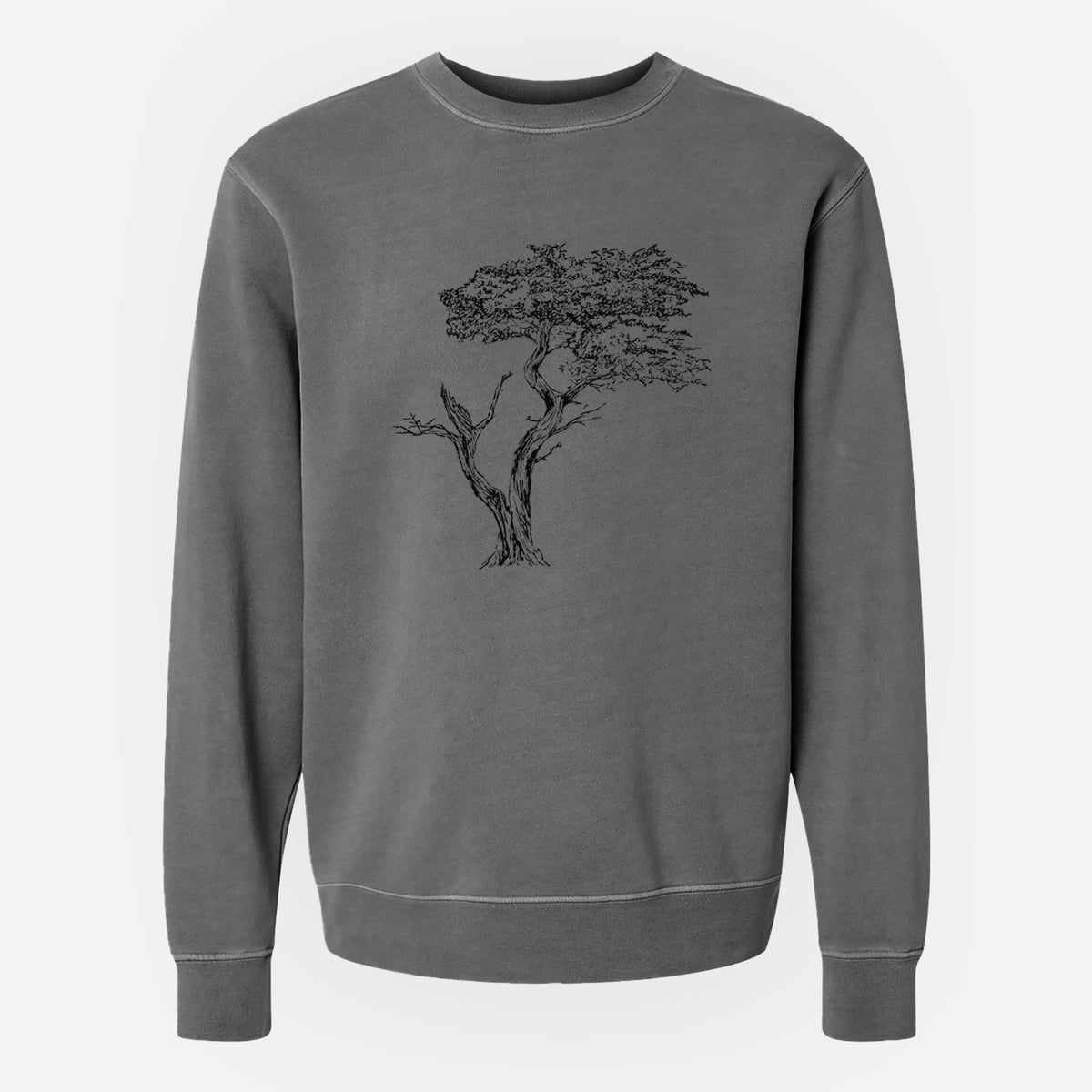 The Lone Cypress - Cupressus Macrocarpa - Monterey Cypress - Unisex Pigment Dyed Crew Sweatshirt