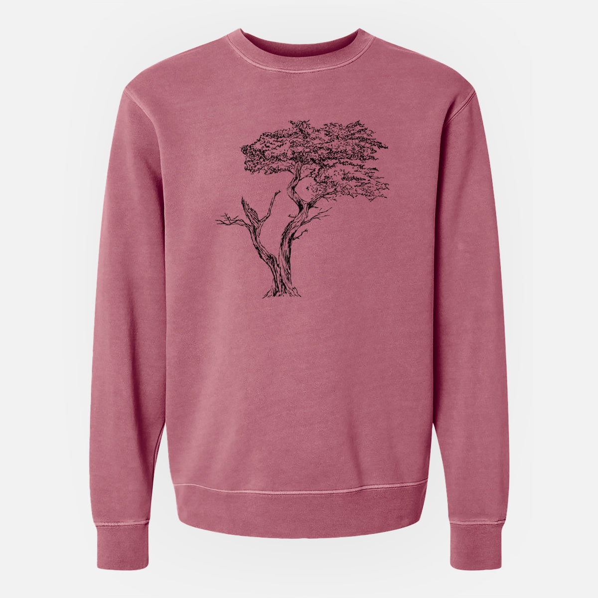 The Lone Cypress - Cupressus Macrocarpa - Monterey Cypress - Unisex Pigment Dyed Crew Sweatshirt