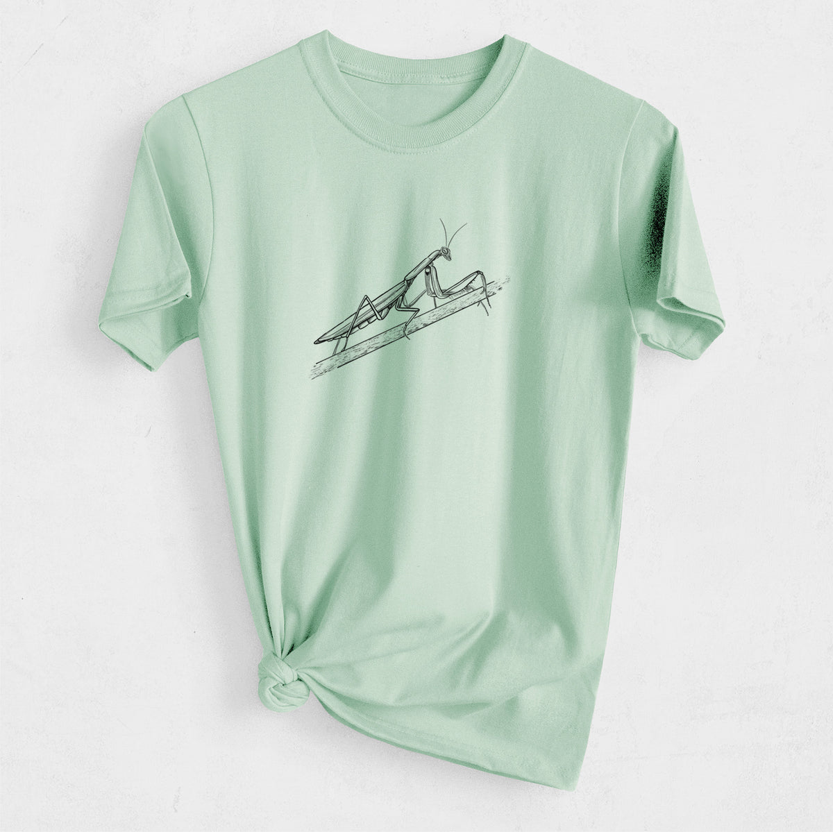 European Mantis - Mantis religiosa - Heavyweight Men&#39;s 100% Organic Cotton Tee