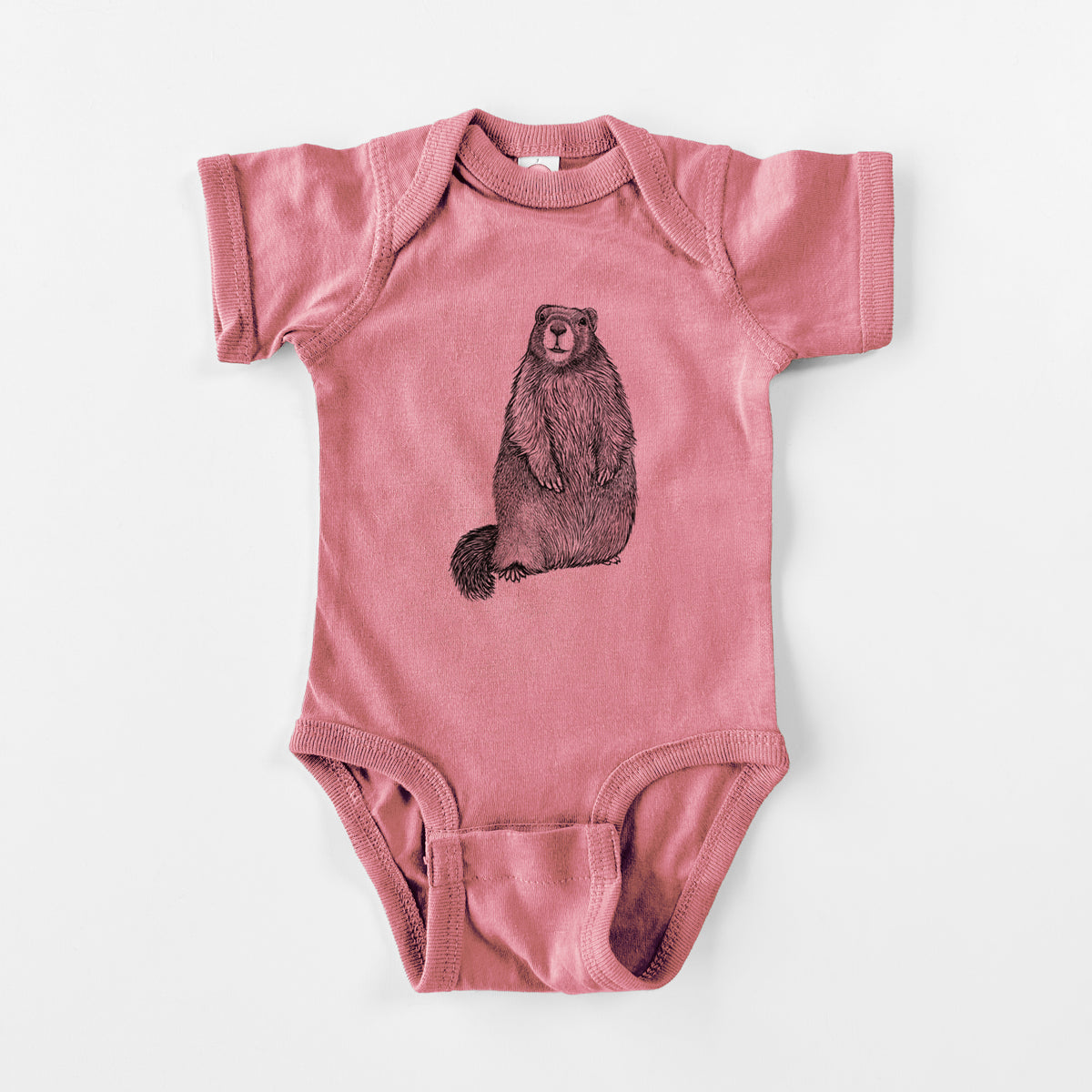 Yellow-bellied Marmot - Marmota flaviventris - Baby Fine Jersey Bodysuit