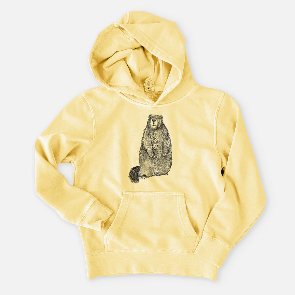 Yellow-bellied Marmot - Marmota flaviventris - Youth Pigment Dyed Hoodie