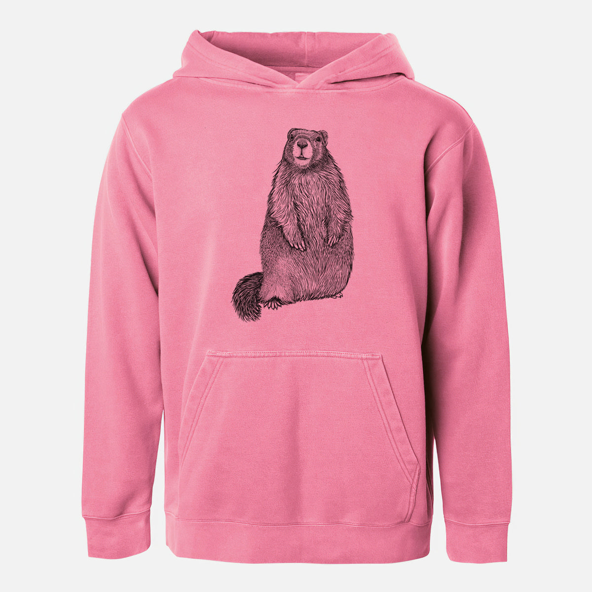 Yellow-bellied Marmot - Marmota flaviventris - Youth Pigment Dyed Hoodie