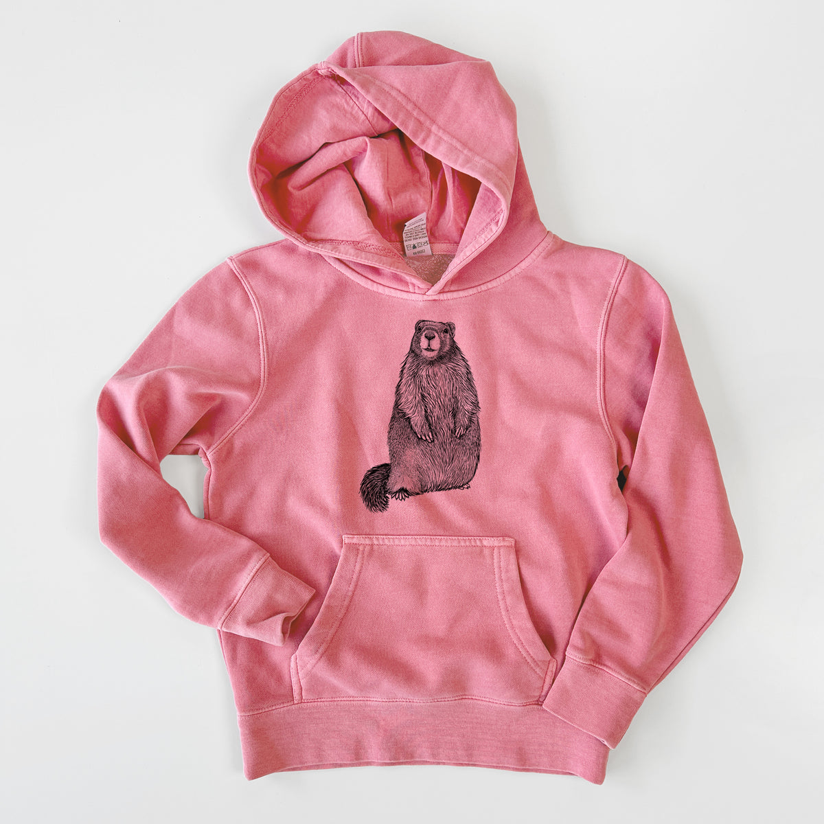 Yellow-bellied Marmot - Marmota flaviventris - Youth Pigment Dyed Hoodie