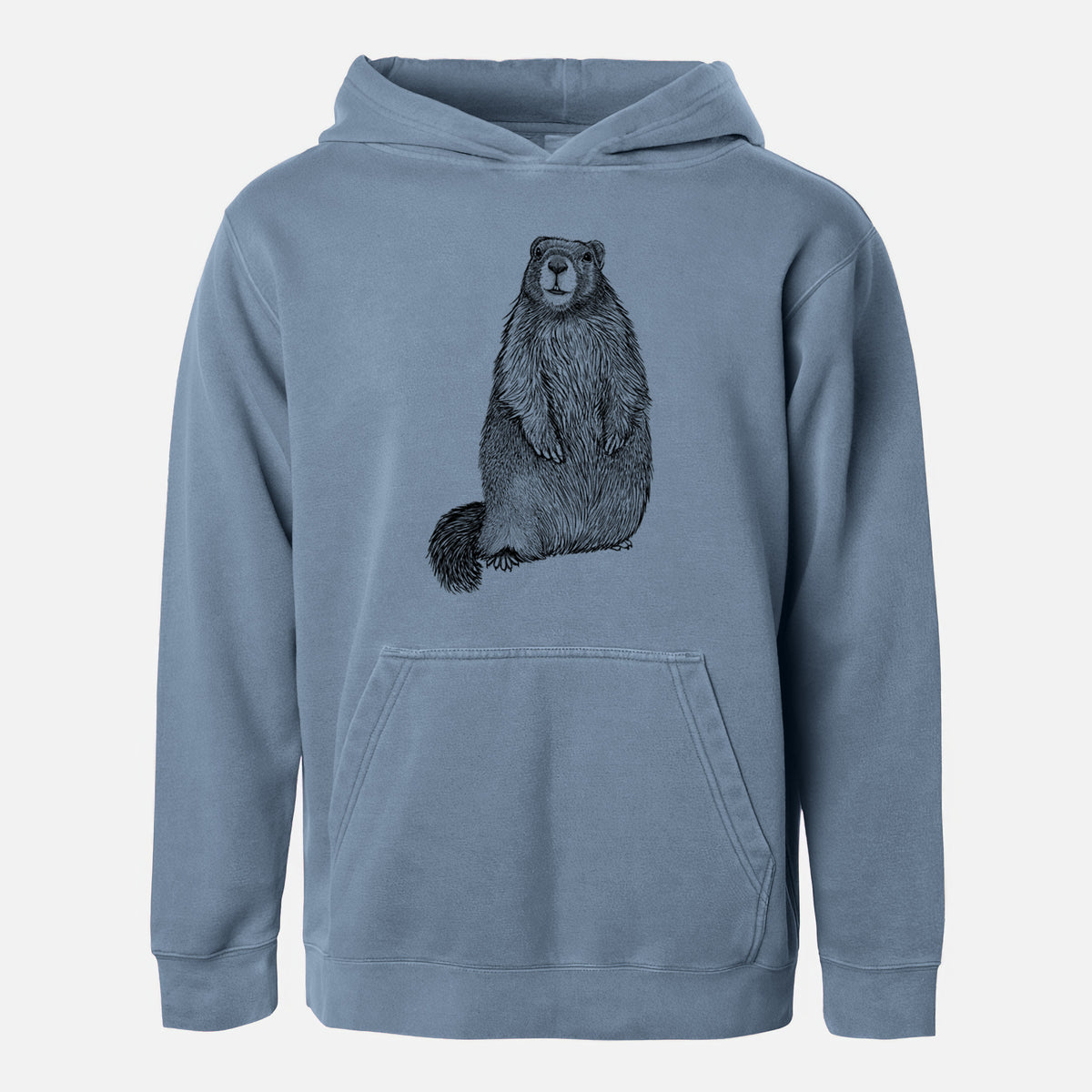 Yellow-bellied Marmot - Marmota flaviventris - Youth Pigment Dyed Hoodie