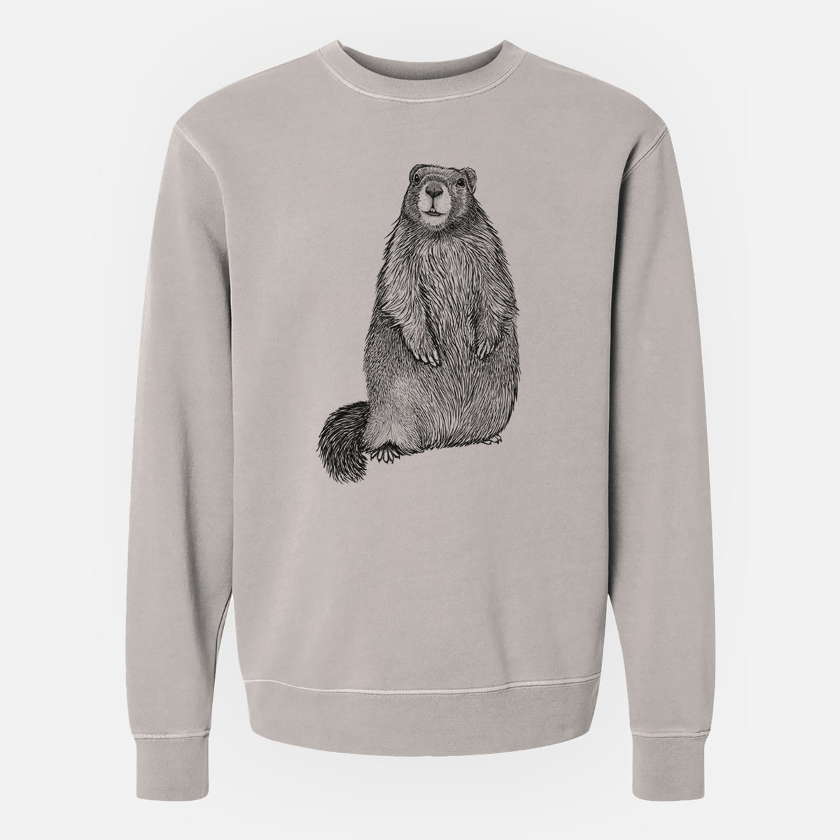 Yellow-bellied Marmot - Marmota flaviventris - Unisex Pigment Dyed Crew Sweatshirt