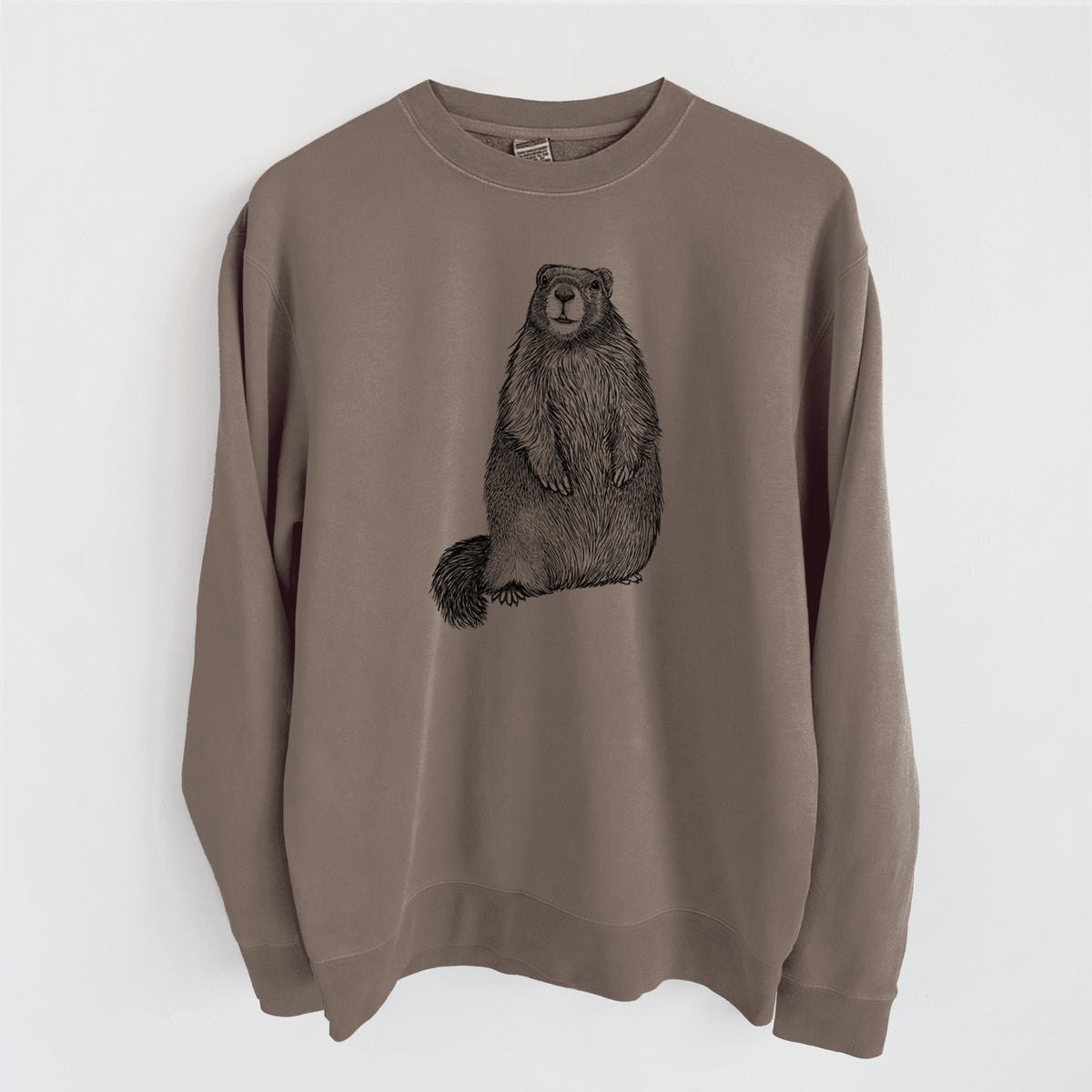 Yellow-bellied Marmot - Marmota flaviventris - Unisex Pigment Dyed Crew Sweatshirt in Espresso Brown Color