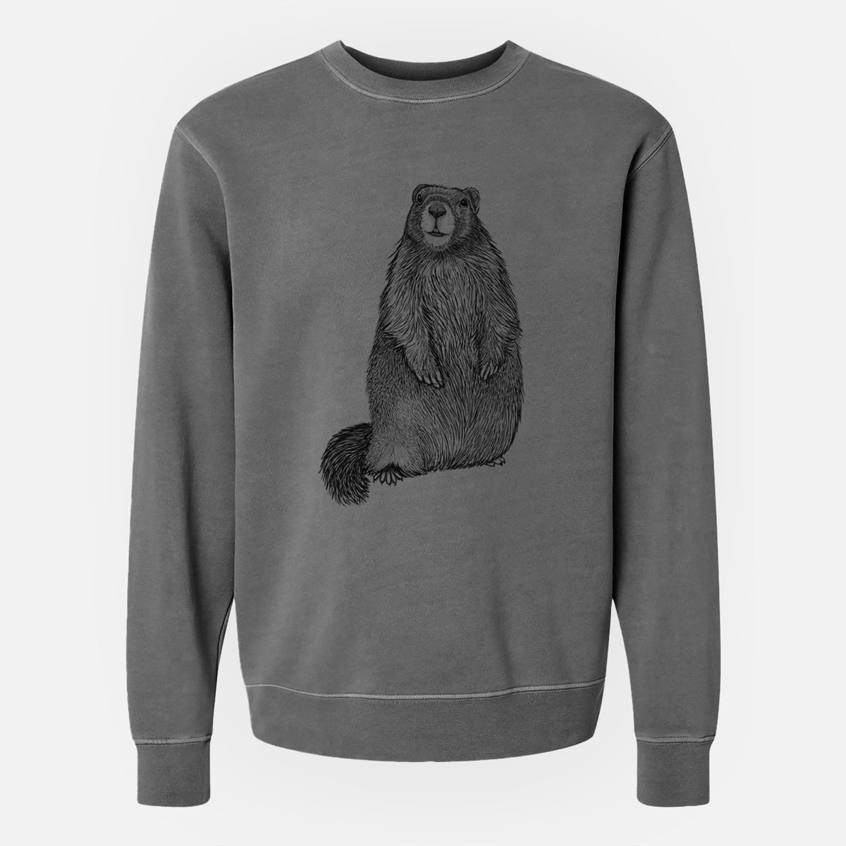 Yellow-bellied Marmot - Marmota flaviventris - Unisex Pigment Dyed Crew Sweatshirt