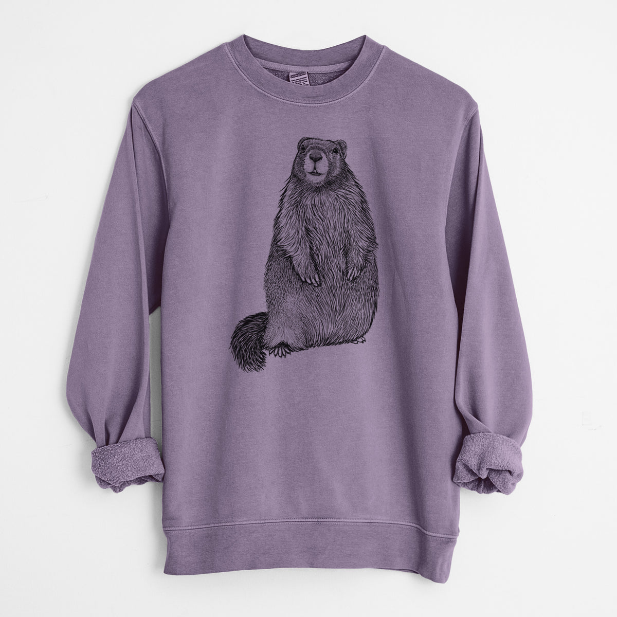 Yellow-bellied Marmot - Marmota flaviventris - Unisex Pigment Dyed Crew Sweatshirt