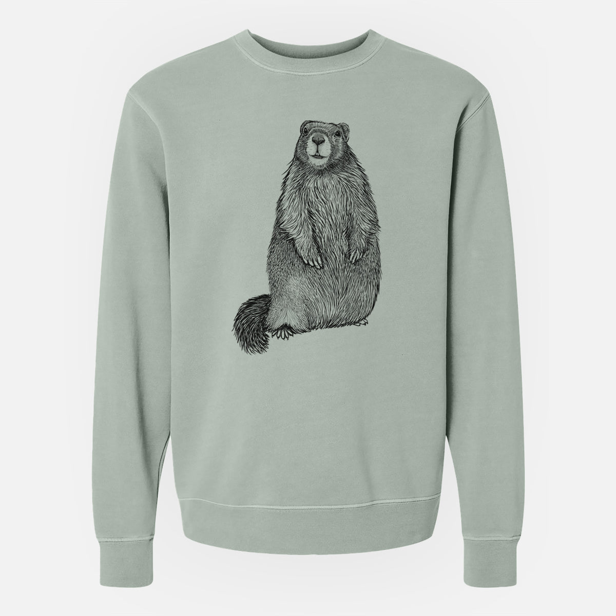 Yellow-bellied Marmot - Marmota flaviventris - Unisex Pigment Dyed Crew Sweatshirt