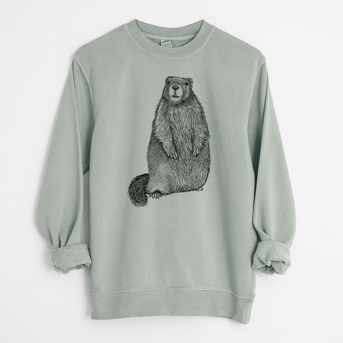 Yellow-bellied Marmot - Marmota flaviventris - Unisex Pigment Dyed Crew Sweatshirt