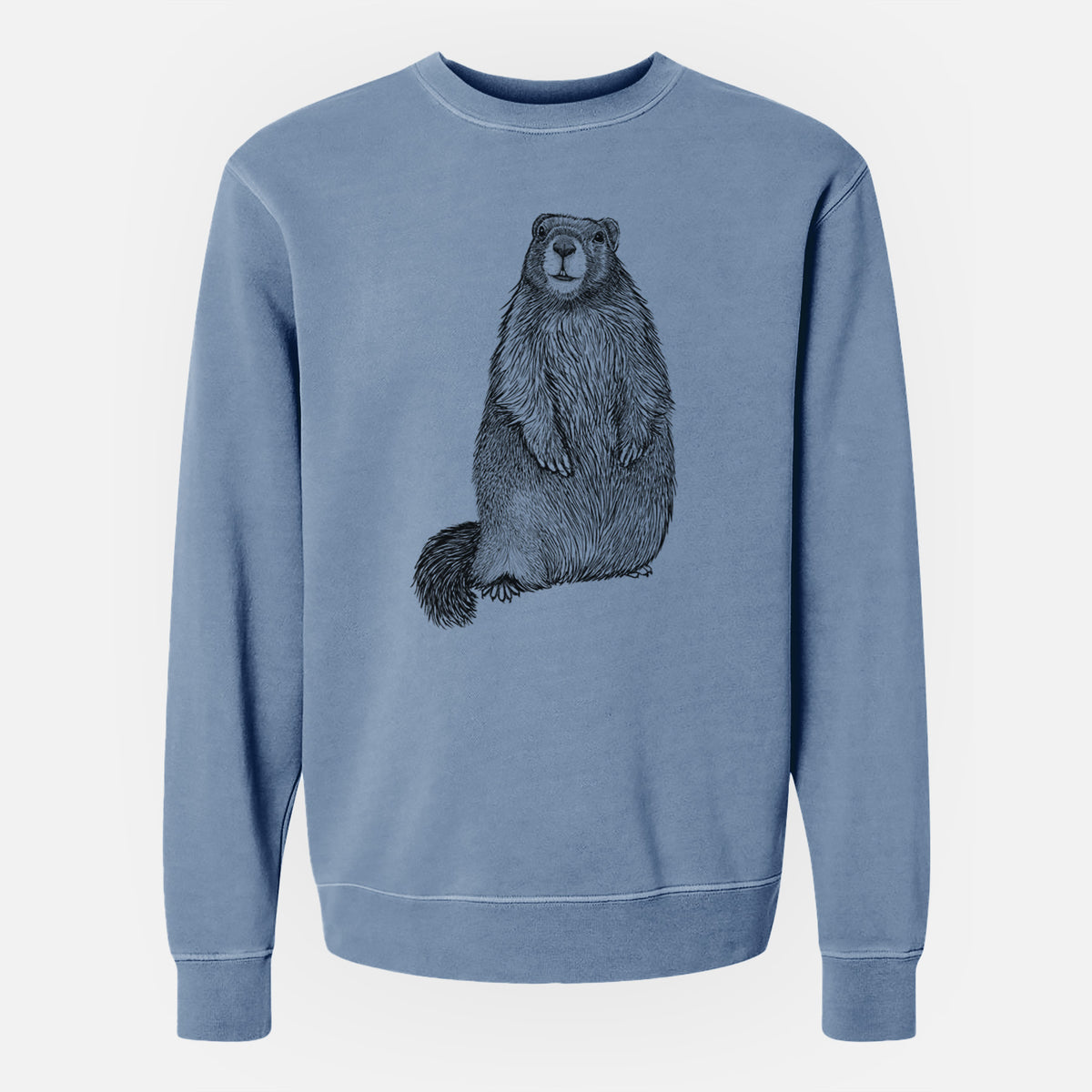 Yellow-bellied Marmot - Marmota flaviventris - Unisex Pigment Dyed Crew Sweatshirt