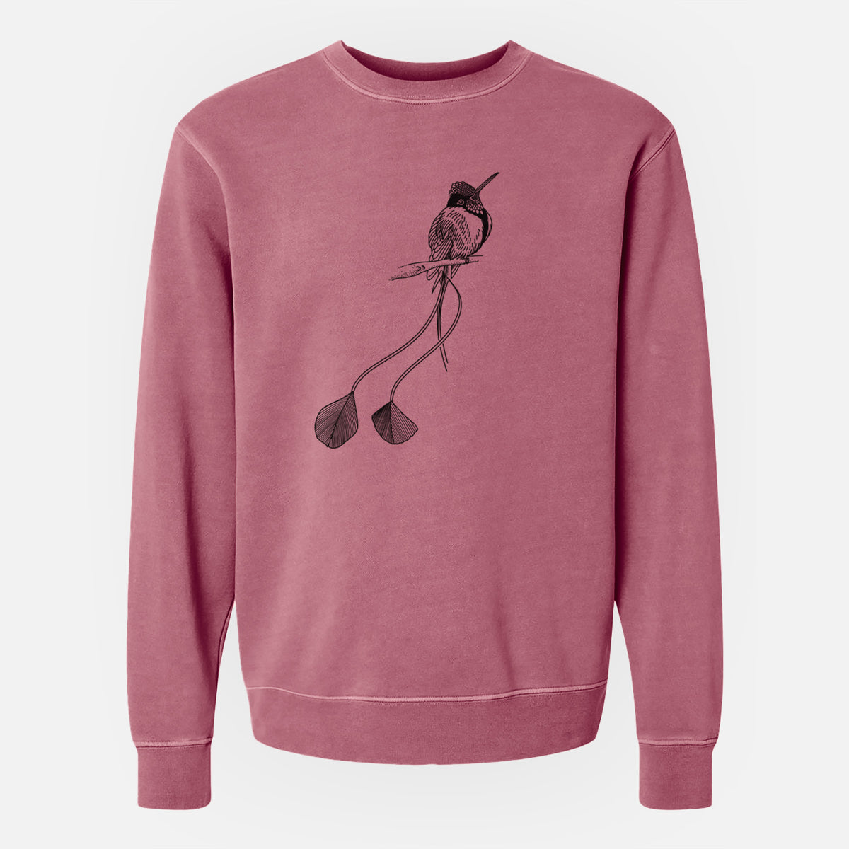 Marvelous Spatuletail Hummingbird - Unisex Pigment Dyed Crew Sweatshirt