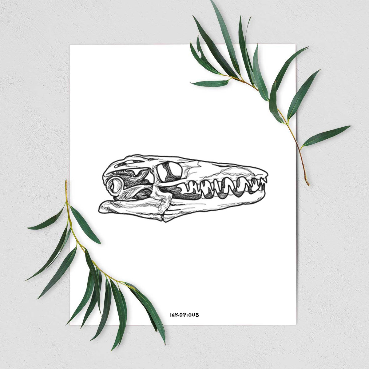 Mosasaur Skull - Fine Art Print