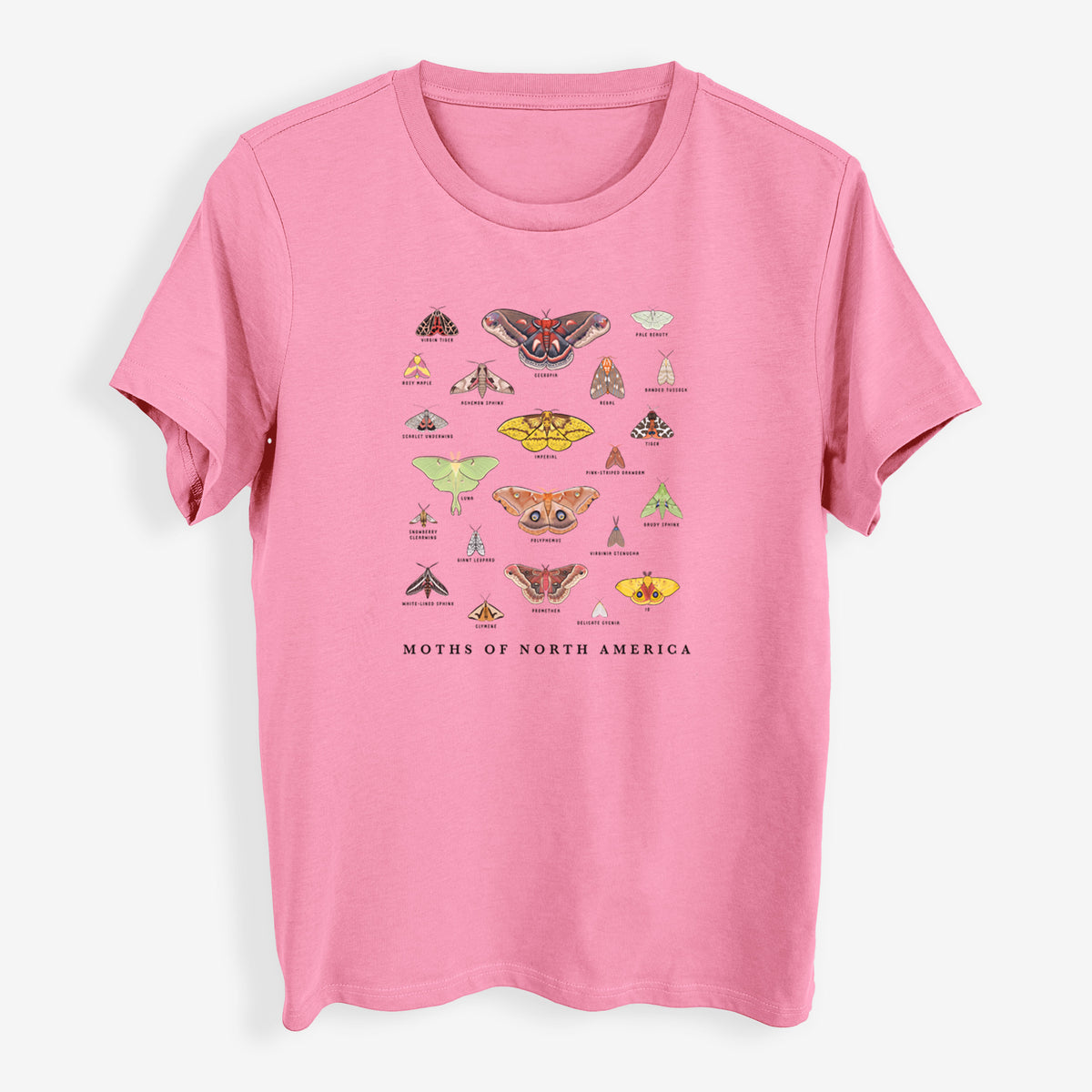 Moths of North America - Womens Everyday Maple Tee