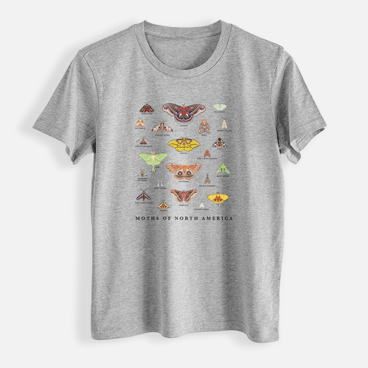 Moths of North America - Womens Everyday Maple Tee